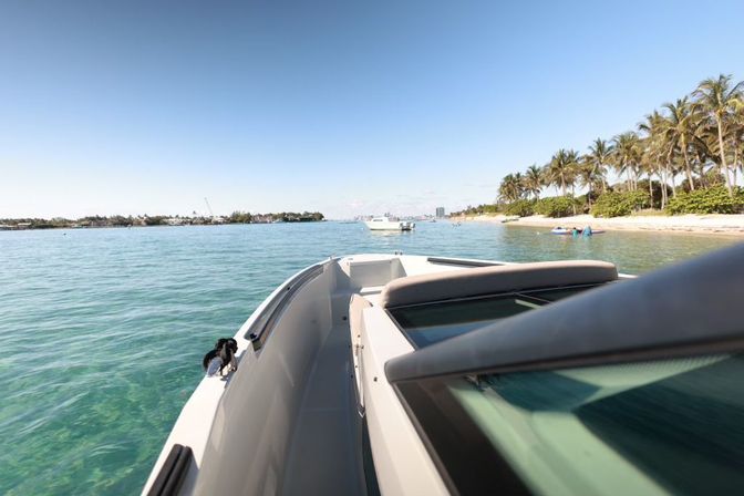 Bachelorette Booze Cruise: Custom Private Tour with BYOB image 10