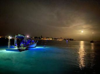 Bachelorette Booze Cruise: Custom Private Tour with BYOB image 62