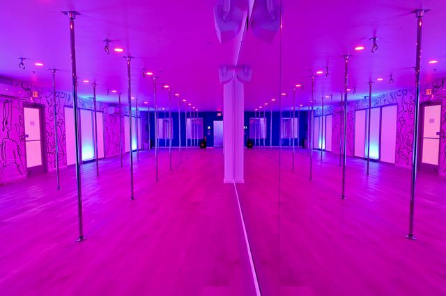 Private Group Pole Dancing Class at soFly Social ATX (Beginner-Friendly) image 4