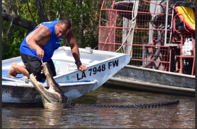 Bayou Swamp Tour Experience: Alligator & Wildlife Adventure for Groups Near New Orleans image 3