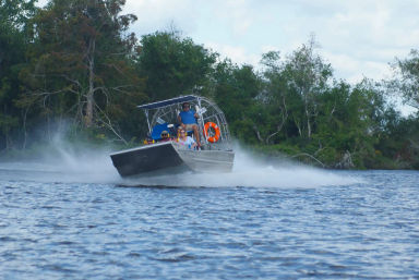 Bayou Swamp Tour Experience: Alligator & Wildlife Adventure for Groups Near New Orleans image