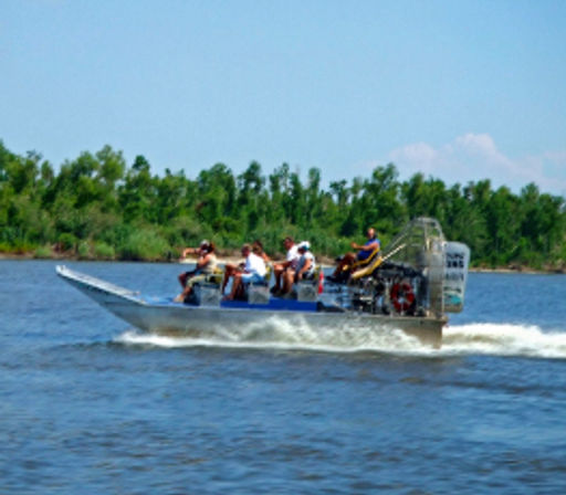 Bayou Swamp Tour Experience: Alligator & Wildlife Adventure for Groups Near New Orleans image 5