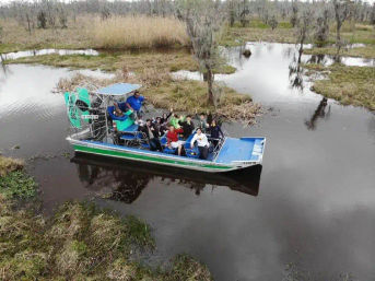 Louisiana Swamp Tour Experience: Alligator & Wildlife Adventure for Groups Near New Orleans image 6