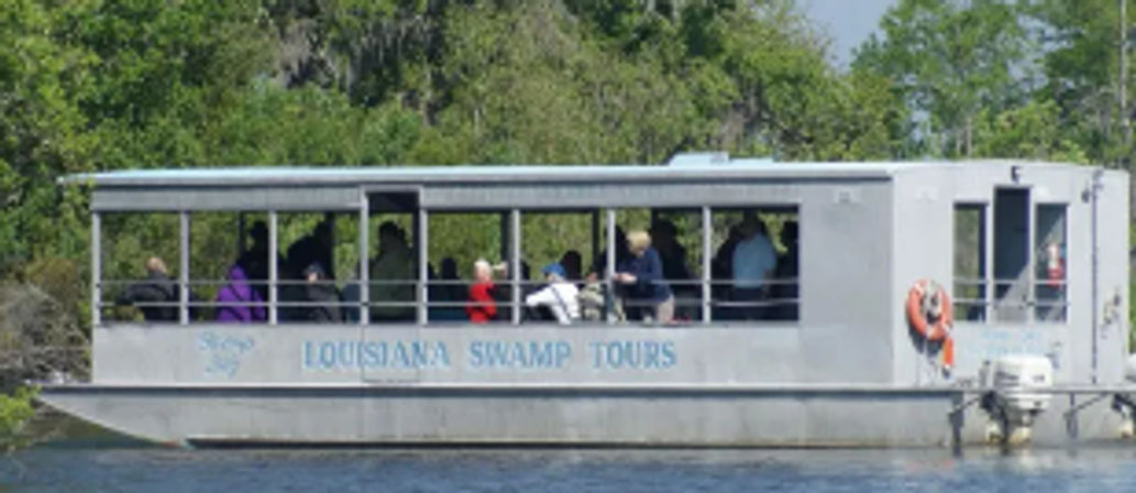 Bayou Swamp Tour Experience: Alligator & Wildlife Adventure for Groups Near New Orleans image 6