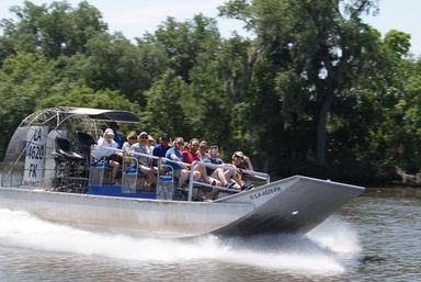 Louisiana Swamp Tour Experience: Alligator & Wildlife Adventure for Groups Near New Orleans image