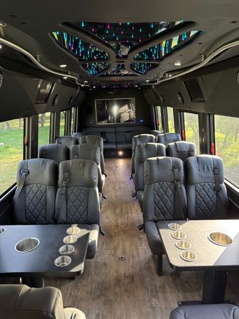 25 Passenger Executive Party Bus with Bathroom image 5