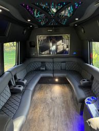 25 Passenger Executive Party Bus with Bathroom image 4