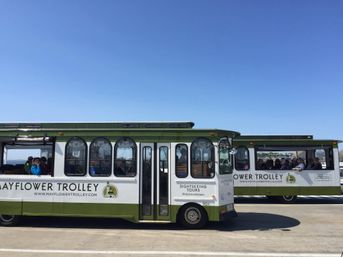 Explore Provincetown with Mayflower Trolley Tours & Cape Cab Taxi Service image 7