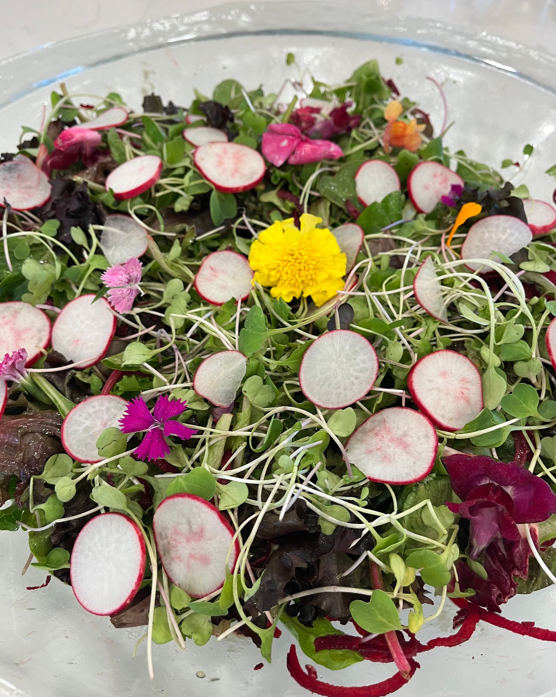 Colorful garden-fresh salad in a glass bowl with thin radish slices, microgreens, mixed greens and edible flowers