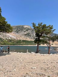 Adventure Scenic Tours Colorado: Red Rocks Park, St Mary's Glacier & Idaho Springs image 3