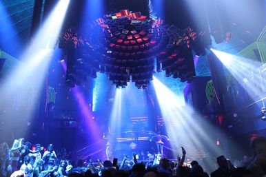 Drink Up Miami: All-Inclusive Nightlife Experience image 12