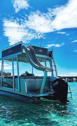 Private Pontoon Party for Up to 6 Guests with Captain, Waterslide, Snorkeling & More (2-4 Hours BYOB Charter) image 6
