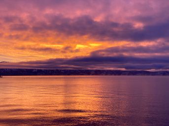 25' Bennington Tritoon Sunset Charter at Tahoe Keys Marina (BYOB) image 1