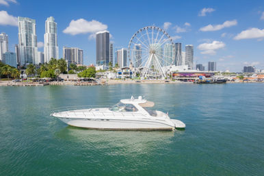 Iconic Yacht Party with Captain and stewardes Included Aboard a Luxury 60ft Private Yacht image 26