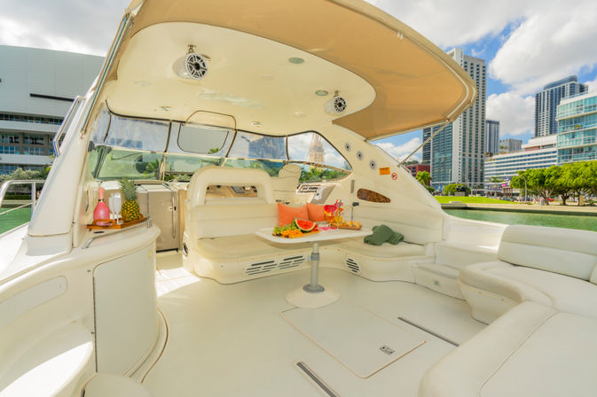 Iconic Yacht Party with Captain and stewardes Included Aboard a Luxury 60ft Private Yacht image 20