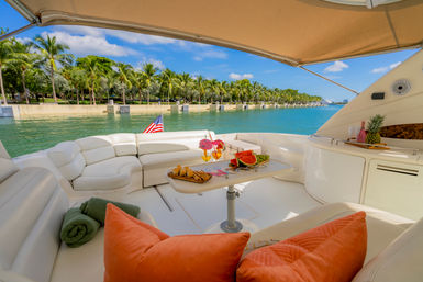 Iconic Yacht Party with Champagne Bottle Included Aboard a Luxury 65ft Private Yacht image 12