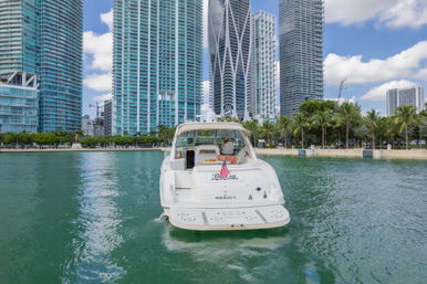 Iconic Yacht Party with Captain and stewardes Included Aboard a Luxury 60ft Private Yacht image 31