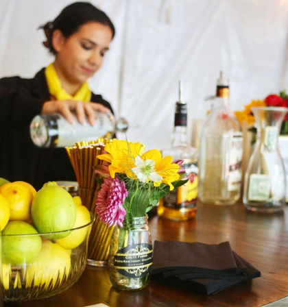 Private DIY Cocktail-Making Classes and Bartending: Bring the Bar to You image 4
