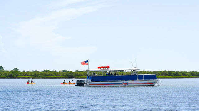 Wildlife Adventure: Boat Cruise & Kayak Eco Tour image 3