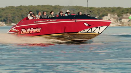 Two Incredible Jet Boat Adventures: Thrill Seeking + Optional Dolphin Cruise image