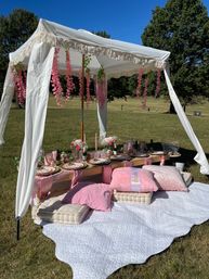 Luxury Personalized Party Picnic with Decor and Catering image 7