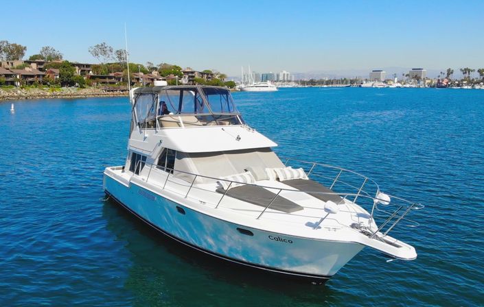 Private Yacht Charters from Marina del Rey: Sunset Cruises, Day Trips & More image 25