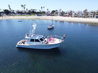 Namaste Afloat: Private Yoga Cruise on Mission Bay image 9