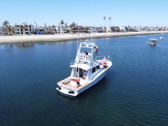 Namaste Afloat: Private Yoga Cruise on Mission Bay image 10