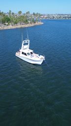 Namaste Afloat: Private Yoga Cruise on Mission Bay image 11