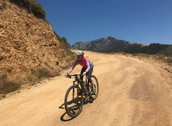 Big Sur Adventure: Old Coast Road Bike Tour image 1