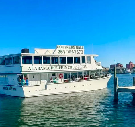 Dolphin Trip for All Ages with Southern Rose Cruises image 5