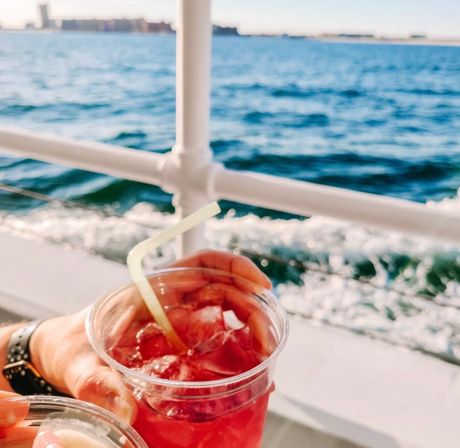 Dolphin Trip for All Ages with Southern Rose Cruises image 6