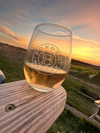 Traverse City Wine Tour on Old Mission Peninsula image 12