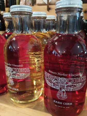 Traverse City Wine Tour on Old Mission Peninsula image 15