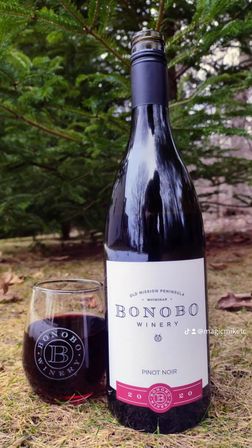 Traverse City Wine Tour on Old Mission Peninsula image 6