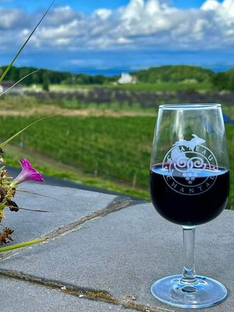 Traverse City Wine Tour on Old Mission Peninsula image 11