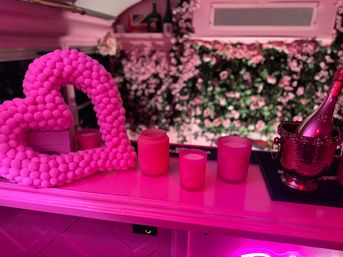 The Pink Party Bus: Voted #1 Bachelorette Experience with Private Bar & Optional VIP Bartender On Board (BYOB) image 15