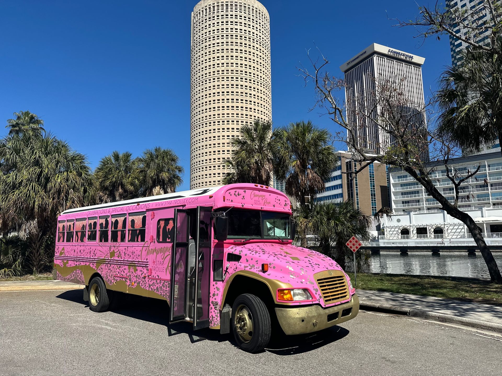 The Pink Party Bus: Voted #1 Bachelorette Experience with Private Bar & Optional VIP Bartender On Board (BYOB) image 2