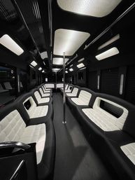 Temecula Party Bus: Wine Tours, Birthdays & Bachelor/Bachelorette Parties image 2