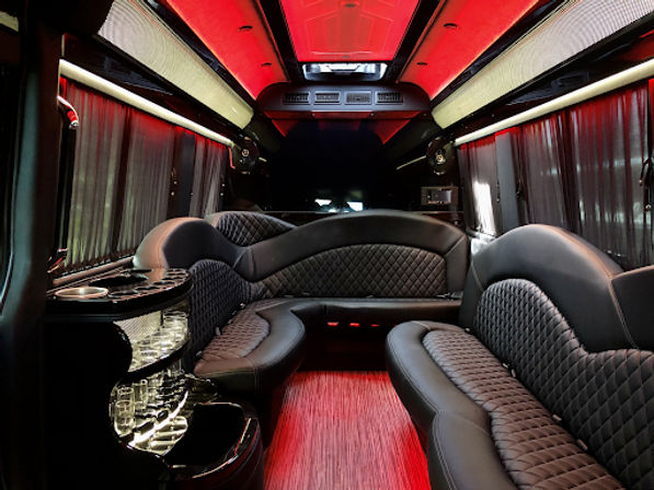 Party Bus Experience with VIP Treatment, Ride Around Town & More image 7