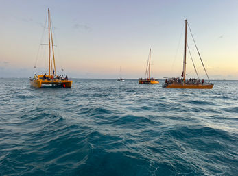 Sunset Sail from Kewalo Harbor with Drinks Included image 16