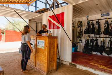 Dive in the Cabo Pulmo Protected Reef & Marine Park (Up to 4 People) image 11
