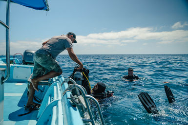 Dive in the Cabo Pulmo Protected Reef & Marine Park (Up to 4 People) image 7