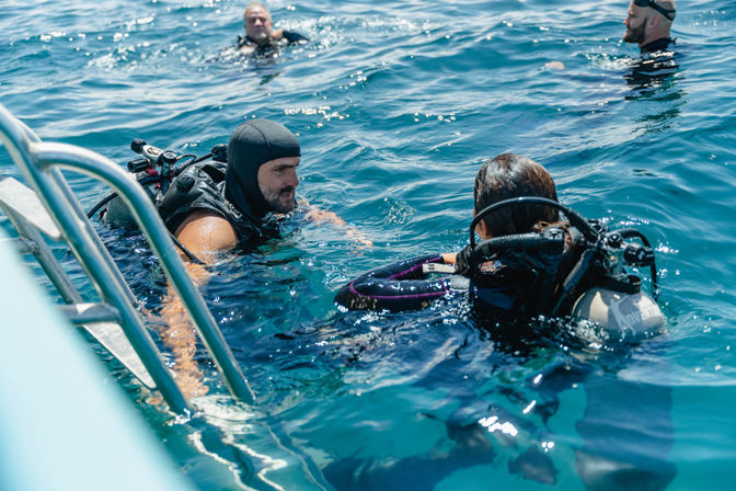 Dive in the Cabo Pulmo Protected Reef & Marine Park (Up to 4 People) image 8