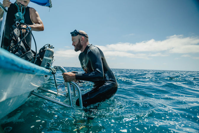 Dive in the Cabo Pulmo Protected Reef & Marine Park (Up to 4 People) image 10