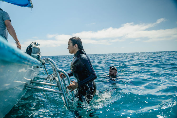 Dive in the Cabo Pulmo Protected Reef & Marine Park (Up to 4 People) image 3