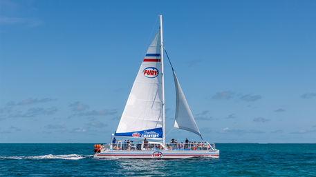 Key West Reef Snorkeling Catamaran Cruise image 4