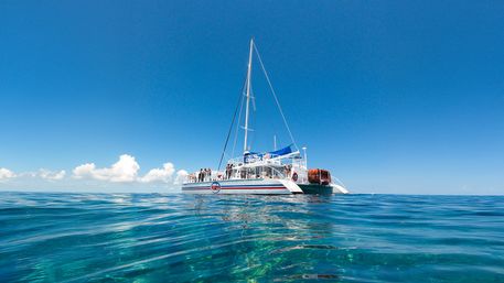 Key West Reef Snorkeling Catamaran Cruise image 2