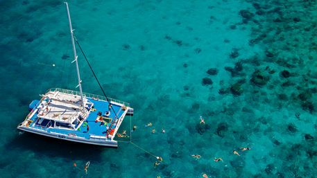 Key West Reef Snorkeling Catamaran Cruise image 5