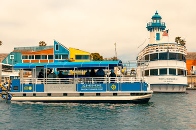 BYOB Paddleboat with Karaoke, Live Sports, Fun & Games: Licensed Captain Operated image 23